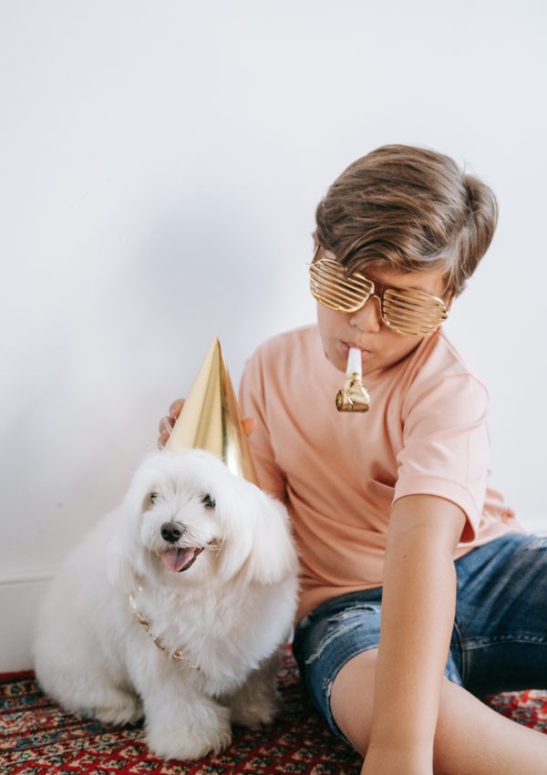 We’re Launching: Party Decorations for Dogs